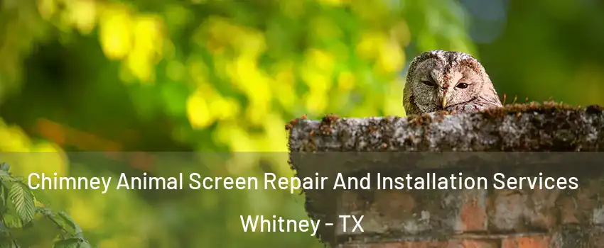  Chimney Animal Screen Repair And Installation Services Whitney - TX