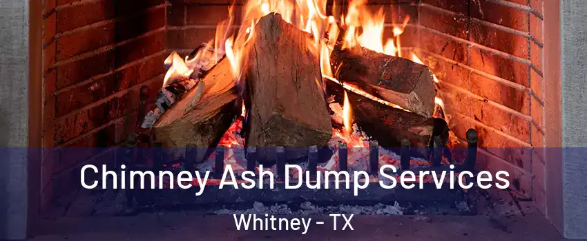  Chimney Ash Dump Services Whitney - TX
