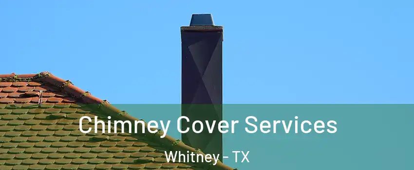  Chimney Cover Services Whitney - TX