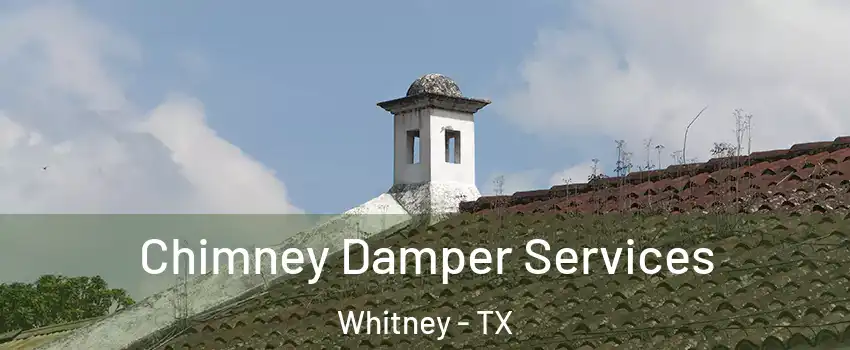  Chimney Damper Services Whitney - TX