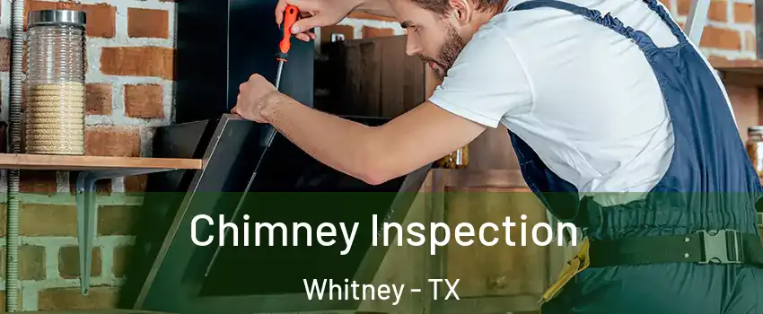  Chimney Inspection Whitney - TX