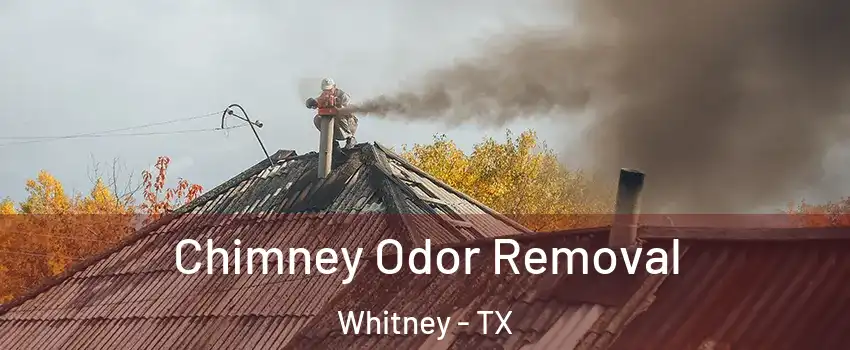  Chimney Odor Removal Whitney - TX