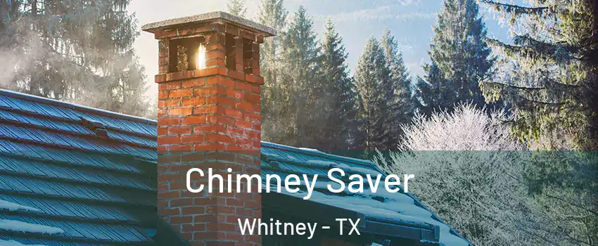  Chimney Saver Whitney - TX