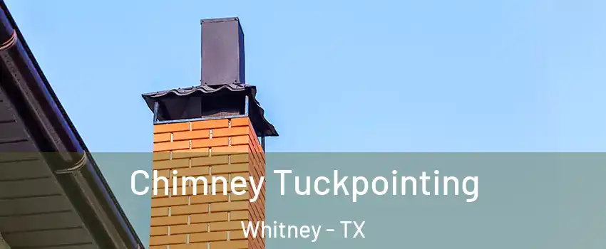  Chimney Tuckpointing Whitney - TX