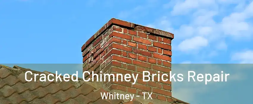 Cracked Chimney Bricks Repair Whitney - TX