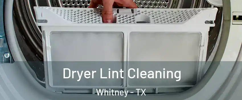  Dryer Lint Cleaning Whitney - TX