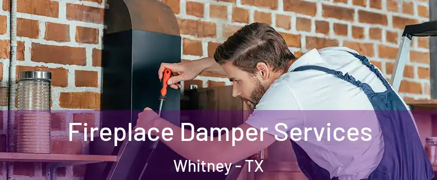  Fireplace Damper Services Whitney - TX