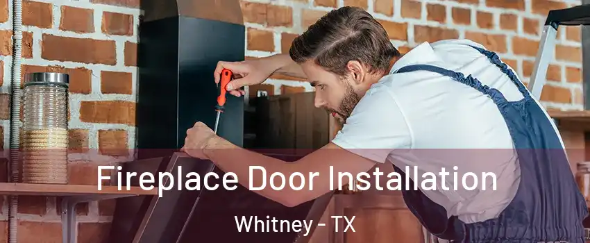  Fireplace Door Installation Whitney - TX