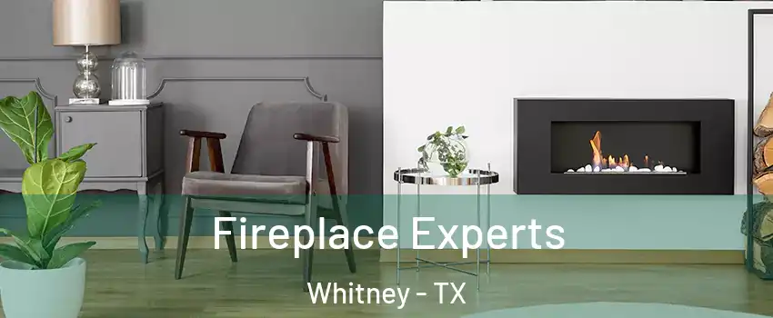  Fireplace Experts Whitney - TX