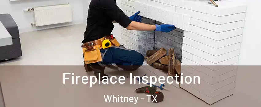  Fireplace Inspection Whitney - TX