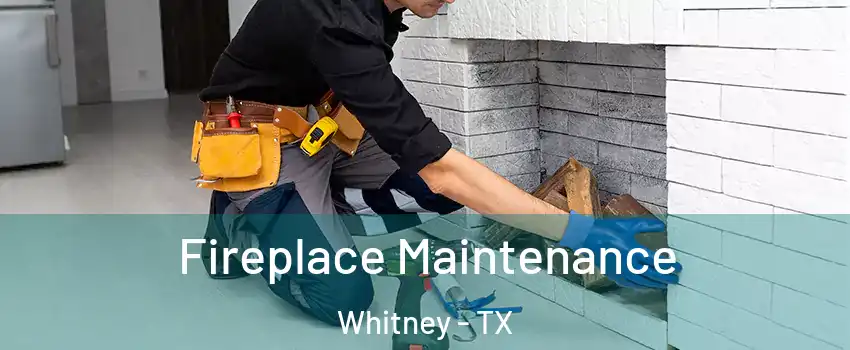  Fireplace Maintenance Whitney - TX