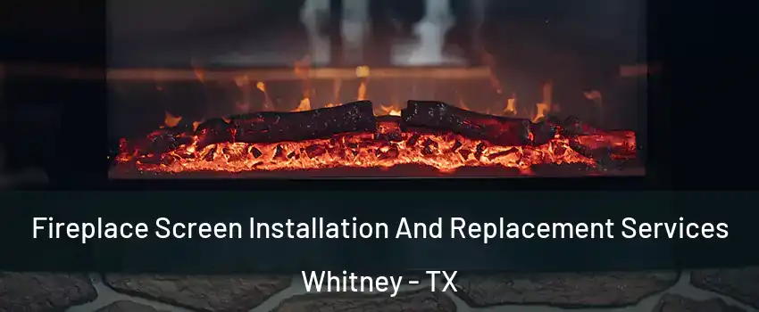  Fireplace Screen Installation And Replacement Services Whitney - TX