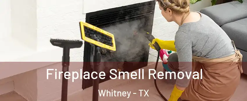  Fireplace Smell Removal Whitney - TX