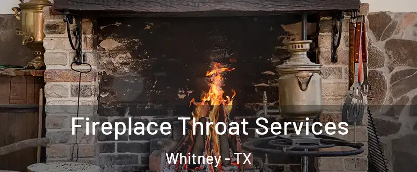  Fireplace Throat Services Whitney - TX