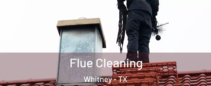 Flue Cleaning Whitney - TX