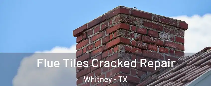  Flue Tiles Cracked Repair Whitney - TX