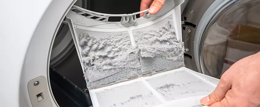 Best Dryer Lint Removal Company in Whitney, Texas
