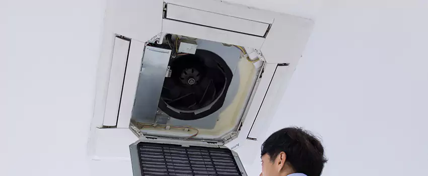 Benefits of Professional Air Duct Cleaning in Whitney, Texas