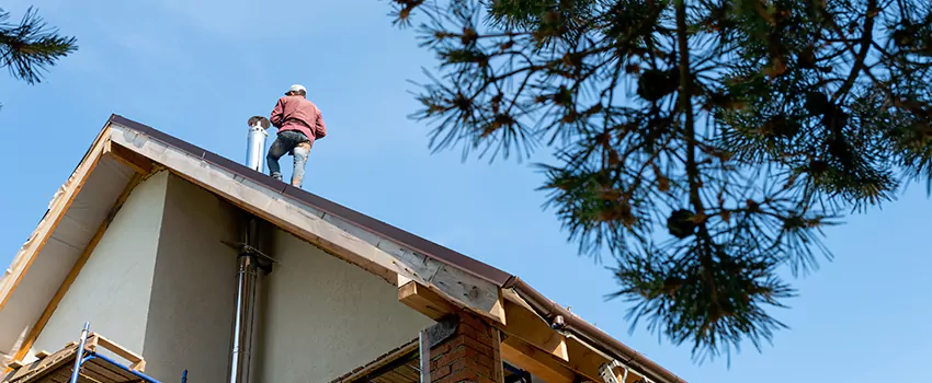 Birds Removal Contractors from Chimney in Whitney, TX