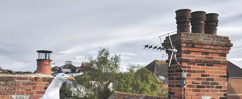 Chimney Cleaning And Restoration in Whitney, Texas