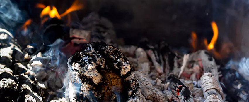 Creosote Removal Experts in Whitney, TX