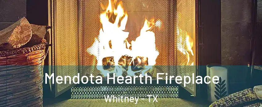  Mendota Hearth Fireplace Whitney - TX