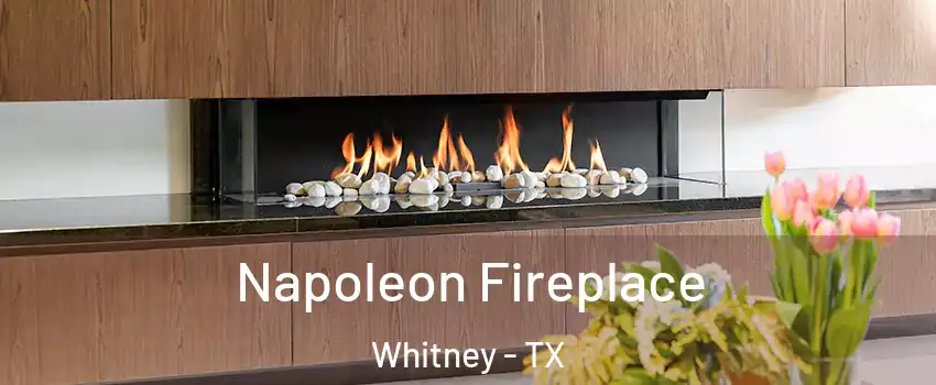  Napoleon Fireplace Whitney - TX