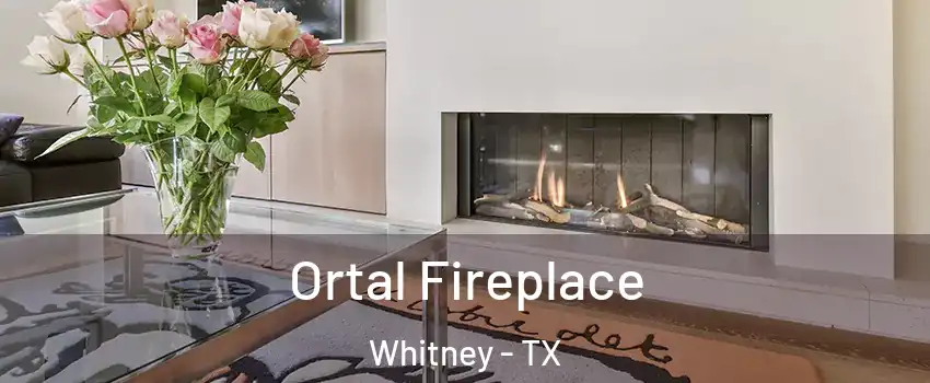 Ortal Fireplace Whitney - TX